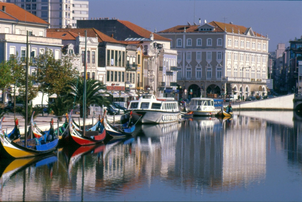 Barco Moliceiro