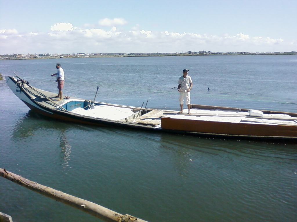 Salinas de Aveiro