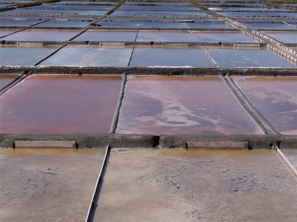 Salinas de Aveiro