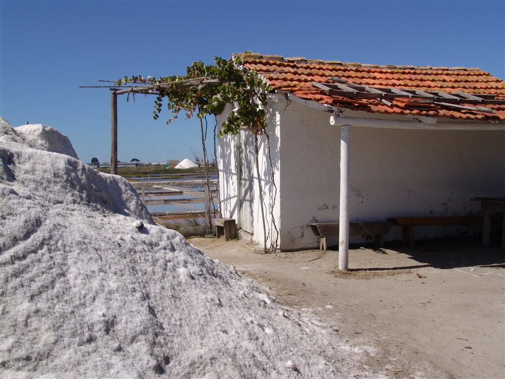 Salinas de Aveiro