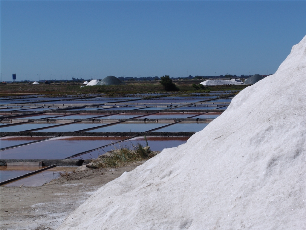 Aveiro Salt Flats