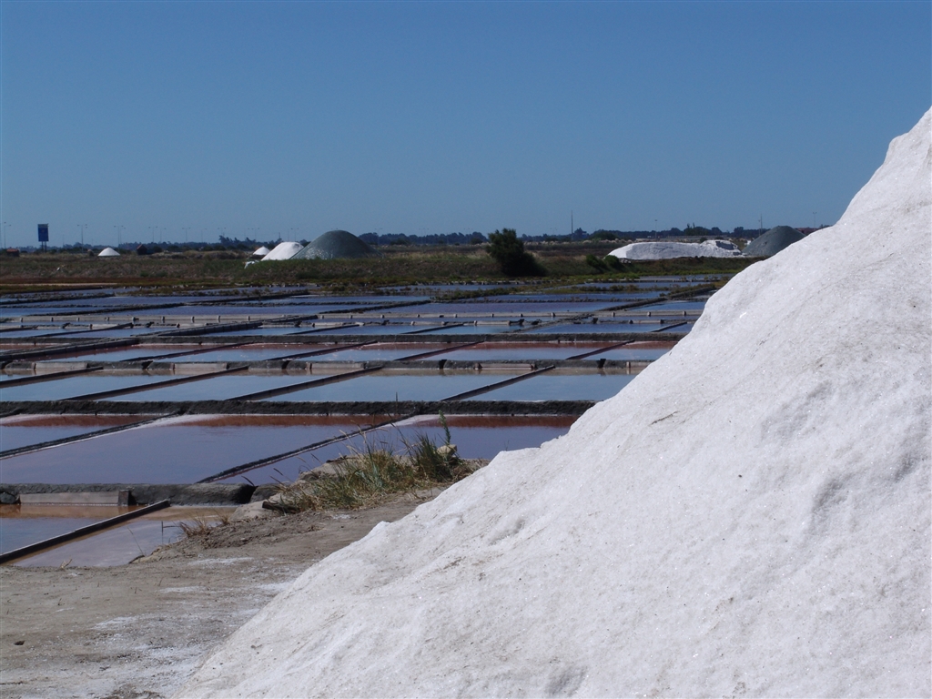 Salinas de Aveiro