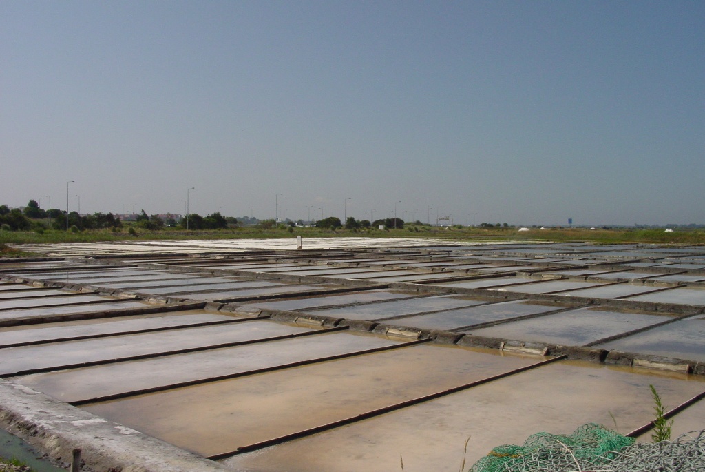 Aveiro Salt Flats