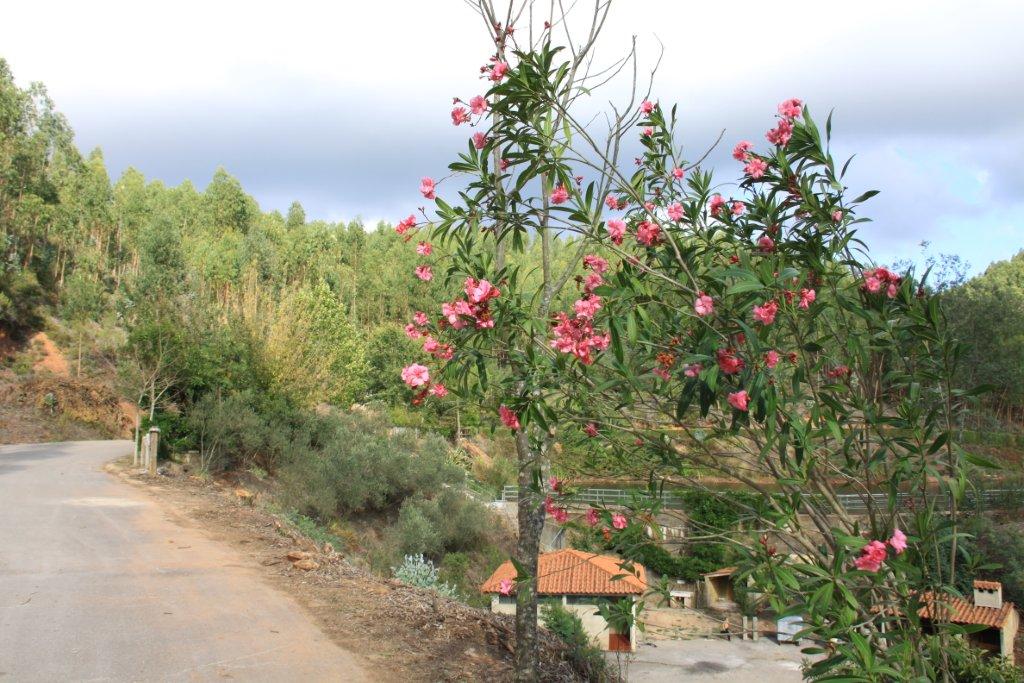 Barragem da Gralheira