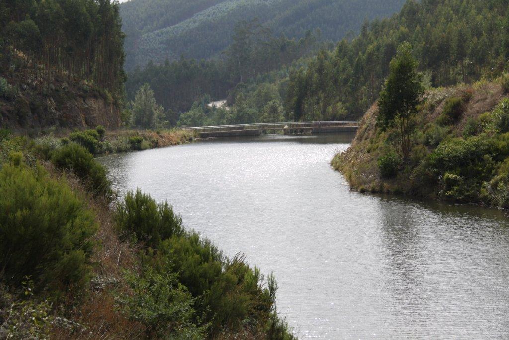 Presa de Saidinho