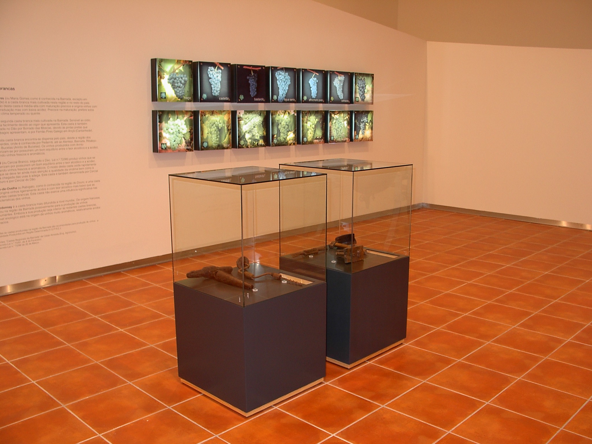 Museo Vino de Bairrada