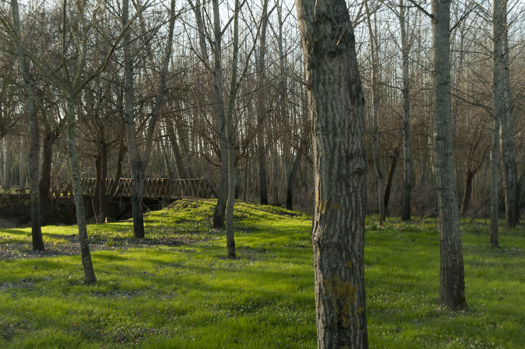 Parque do Carreiro Velho