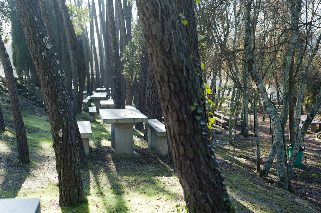 Parque de Pateira