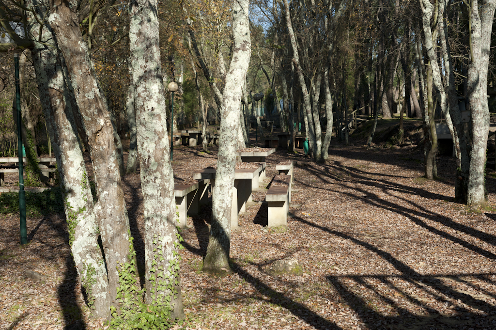 Parque de Pateira
