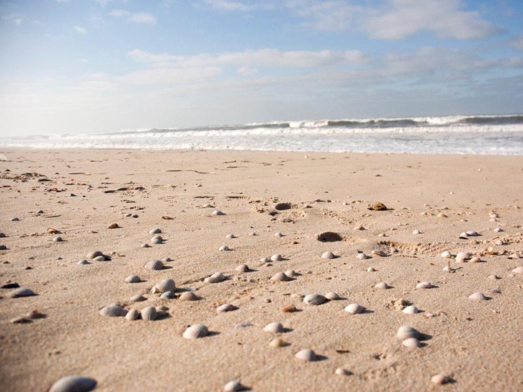 Palheirão Beach