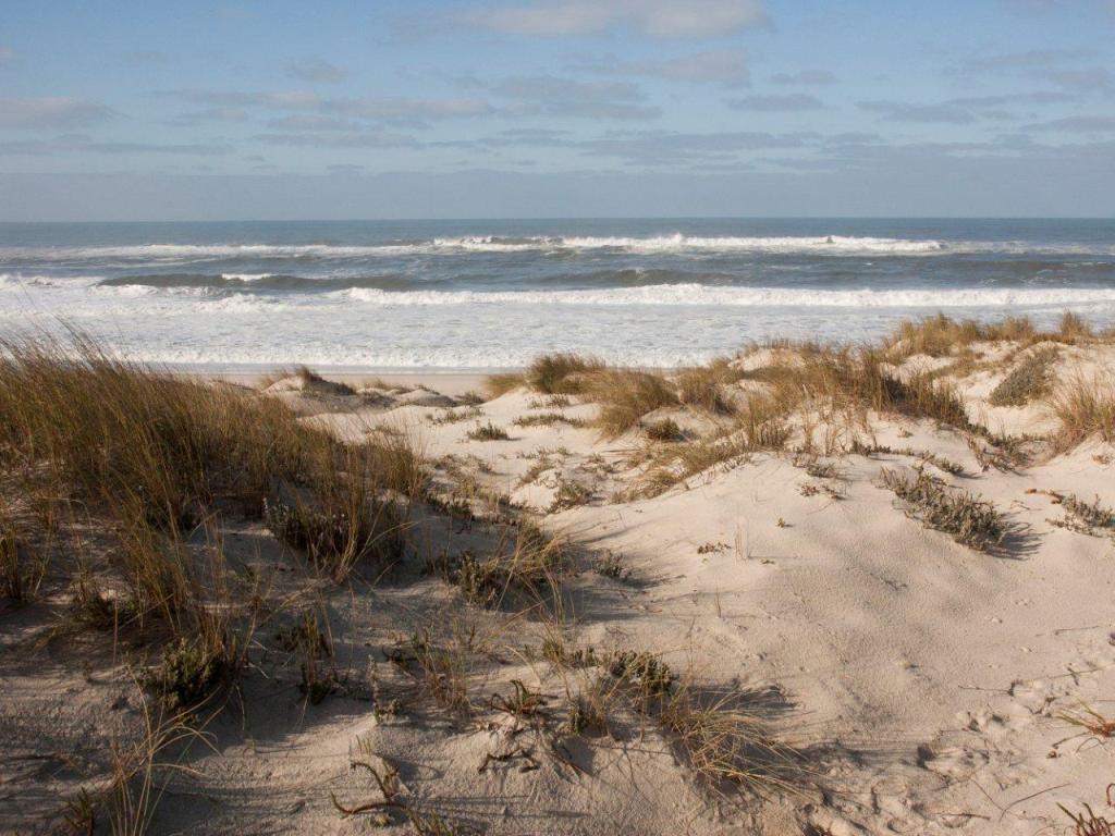 Palheirão Beach