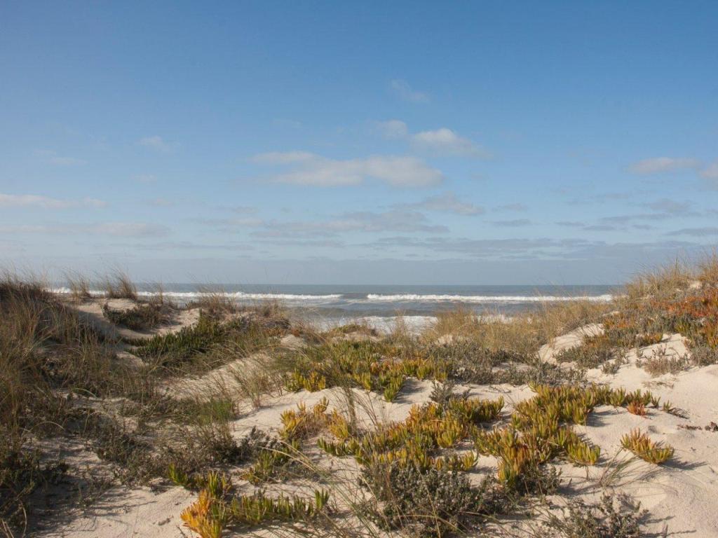 Palheirão Beach