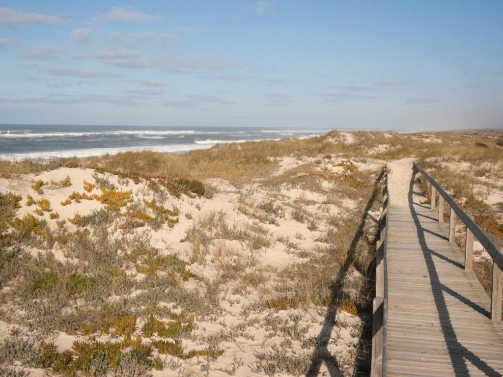 Palheirão Beach