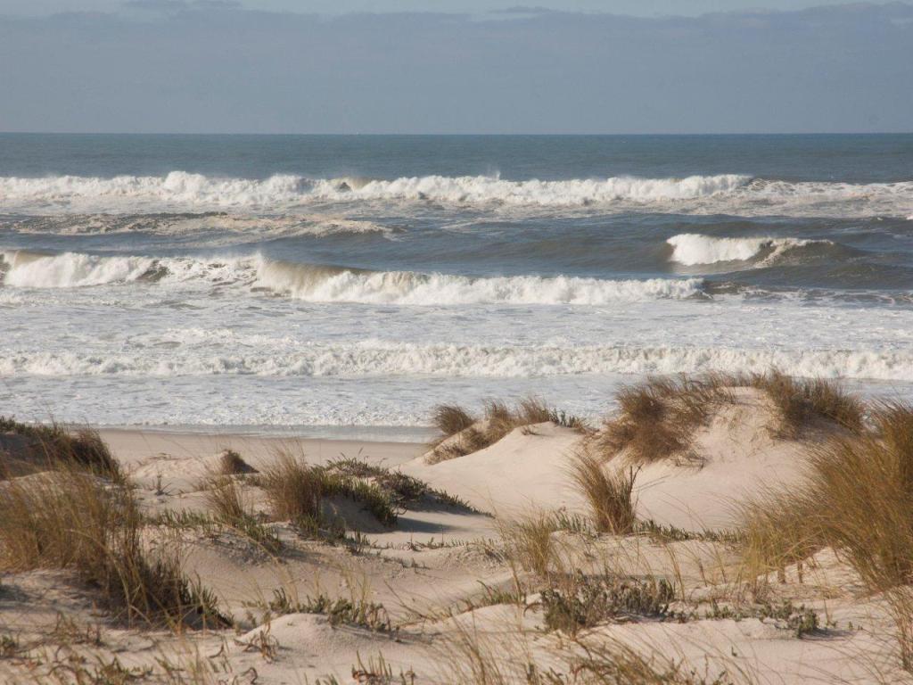 Palheirão Beach