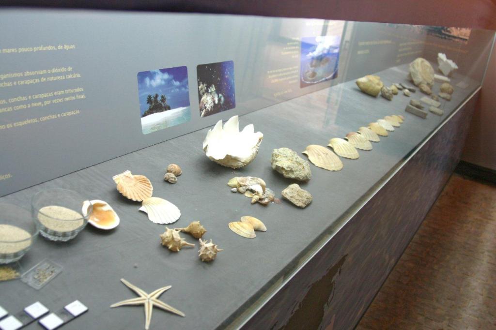 Museu da Pedra de Cantanhede