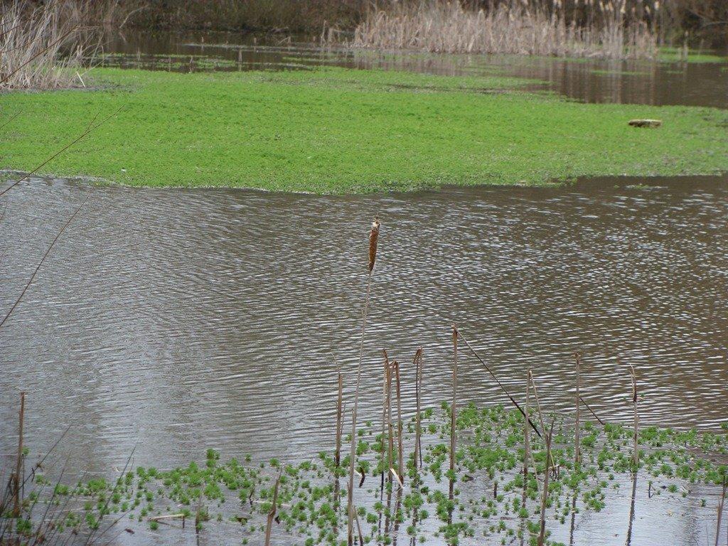 Laguna de Paúl de Ancas