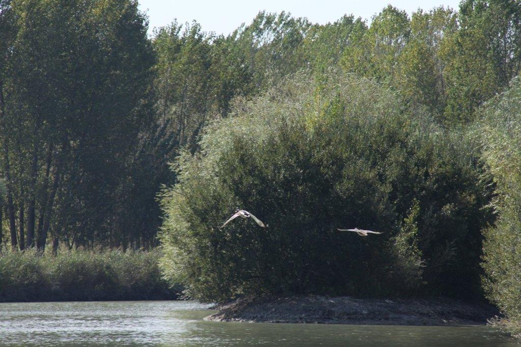 Torres Lagoon