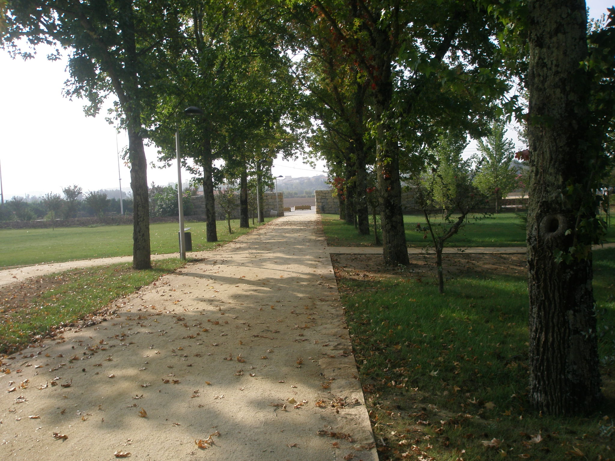 Parque de la Ciudad de Mealhada
