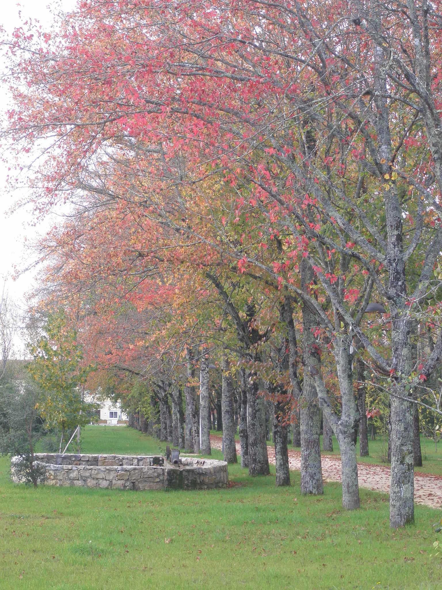 Parque de la Ciudad de Mealhada