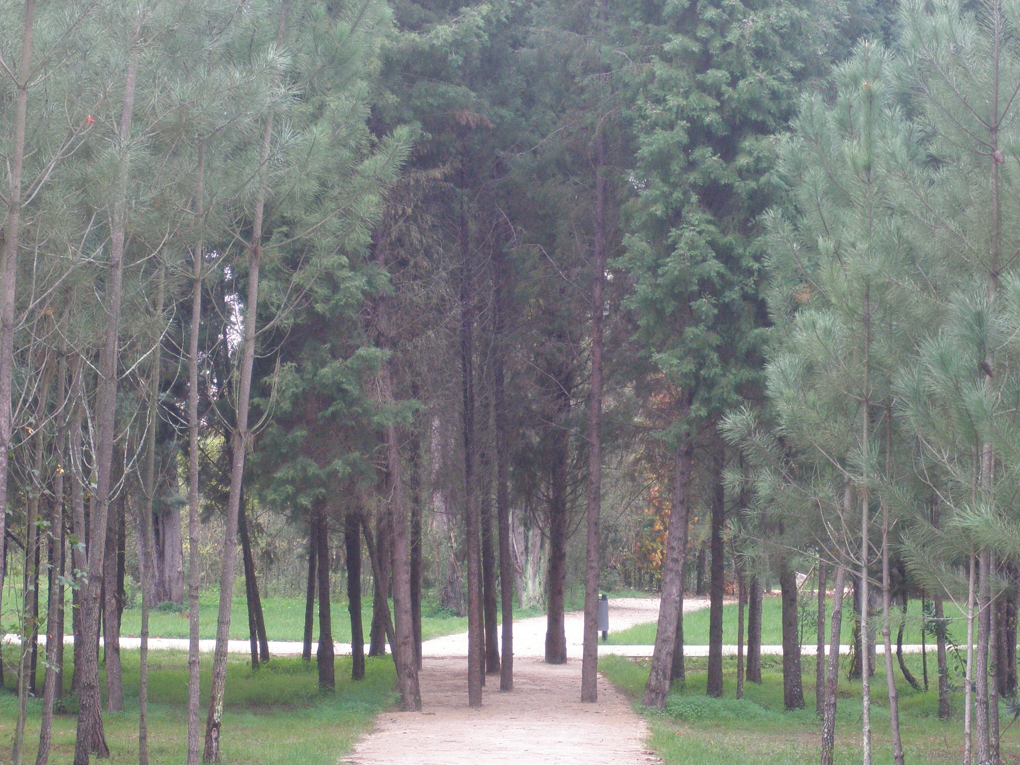 Parque de la Ciudad de Mealhada