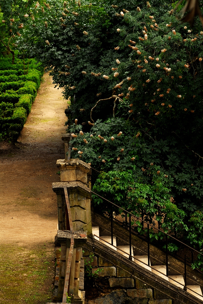 Jardín Botánico de la Universidad de Coimbra