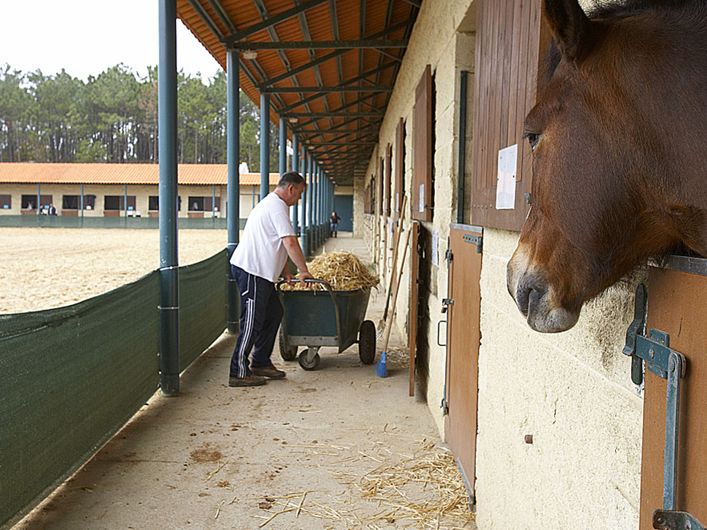 Equestrian Center - Vagos